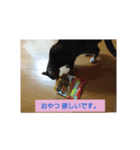 みーたんファミリー  5（個別スタンプ：6）