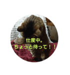 みーたんファミリー  5（個別スタンプ：8）
