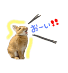 うさぎのおもち2（個別スタンプ：3）