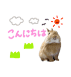 うさぎのおもち2（個別スタンプ：6）