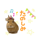 うさぎのおもち2（個別スタンプ：7）