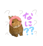 うさぎのおもち2（個別スタンプ：8）