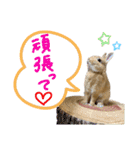 うさぎのおもち2（個別スタンプ：14）