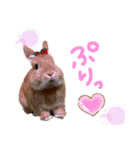 うさぎのおもち2（個別スタンプ：21）