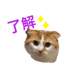 ぷりんのぷーちゃん（個別スタンプ：7）