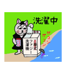 猫のポコタン～日常編～（個別スタンプ：7）