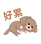曼倪Money's スタンプ（個別スタンプ：28）