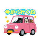 ポメラニアン★輿＆琴＆寅（個別スタンプ：11）