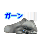 ポメラニアン★輿＆琴＆寅（個別スタンプ：17）