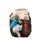 ほぼみかんスタンプ（個別スタンプ：4）