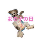 ほぼみかんスタンプ（個別スタンプ：12）
