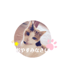 .hana（個別スタンプ：3）