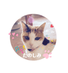 .hana（個別スタンプ：5）