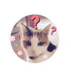 .hana（個別スタンプ：8）