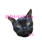 空輔アゲ気味スタンプ（個別スタンプ：3）