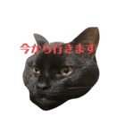 空輔アゲ気味スタンプ（個別スタンプ：4）