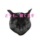 空輔アゲ気味スタンプ（個別スタンプ：5）