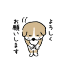 猫とか犬とかゆるめ日常スタンプ第2弾（個別スタンプ：5）