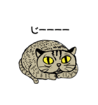 猫とか犬とかゆるめ日常スタンプ第2弾（個別スタンプ：34）