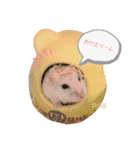 ジャンガリアンのモグ君＆コロリーヌちゃん（個別スタンプ：3）