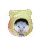 ジャンガリアンのモグ君＆コロリーヌちゃん（個別スタンプ：27）