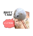 ジャンガリアンのモグ君＆コロリーヌちゃん（個別スタンプ：37）