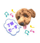 ハッピーそうすけ（個別スタンプ：1）