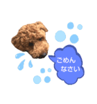 ハッピーそうすけ（個別スタンプ：3）