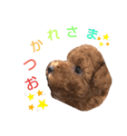 ハッピーそうすけ（個別スタンプ：4）