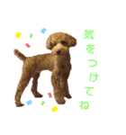 ハッピーそうすけ（個別スタンプ：5）