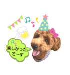 ハッピーそうすけ（個別スタンプ：6）