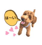 ハッピーそうすけ（個別スタンプ：8）