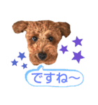 ハッピーそうすけ（個別スタンプ：9）