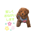 ハッピーそうすけ（個別スタンプ：11）