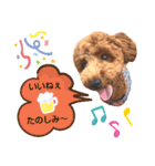 ハッピーそうすけ（個別スタンプ：12）