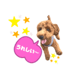 ハッピーそうすけ（個別スタンプ：13）