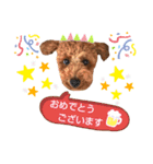 ハッピーそうすけ（個別スタンプ：15）