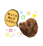 ハッピーそうすけ（個別スタンプ：17）