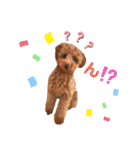 ハッピーそうすけ（個別スタンプ：19）
