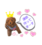 ハッピーそうすけ（個別スタンプ：21）