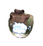 マイ ペット（個別スタンプ：2）