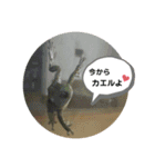 マイ ペット（個別スタンプ：9）