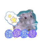 ハムスターのシュガーさん！②（個別スタンプ：4）