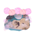 ハムスターのシュガーさん！②（個別スタンプ：9）