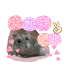 ハムスターのシュガーさん！②（個別スタンプ：10）