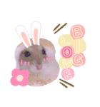 ハムスターのシュガーさん！②（個別スタンプ：14）