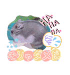 ハムスターのシュガーさん！②（個別スタンプ：19）