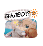 ハムスターのシュガーさん！②（個別スタンプ：20）