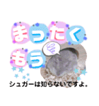 ハムスターのシュガーさん！②（個別スタンプ：24）