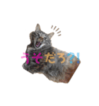 るな と もっぷ（個別スタンプ：8）